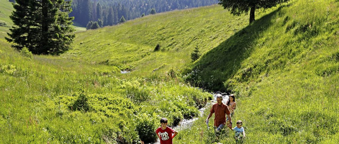 GBF0004