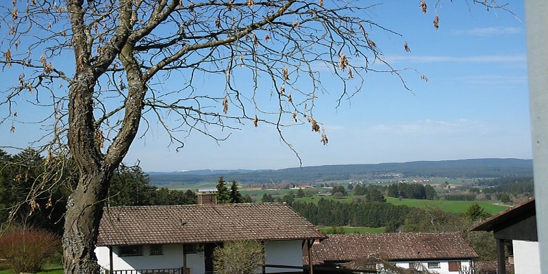 GBF0145