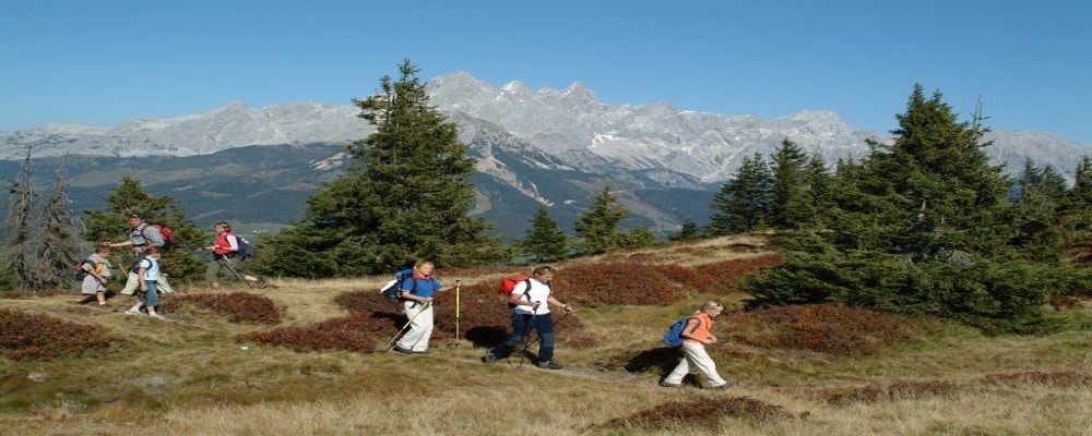 AZ0062