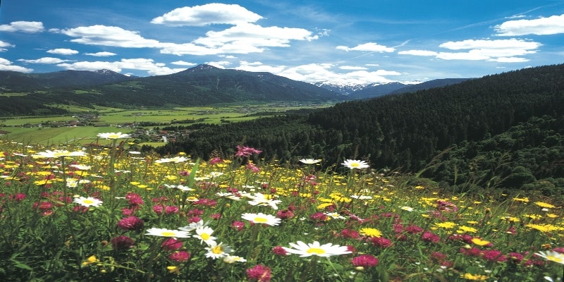 AZ0011